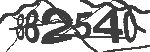 Image Test